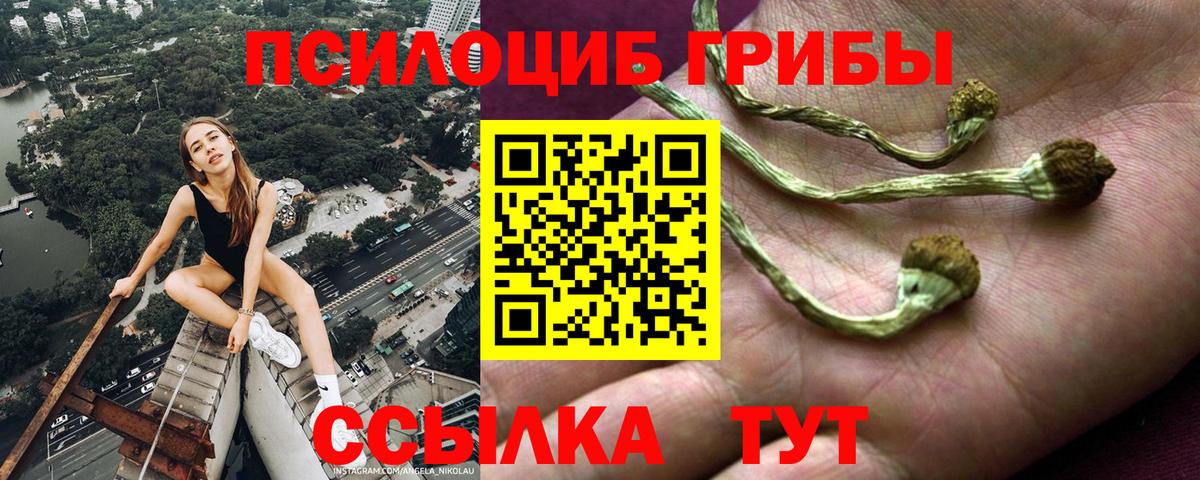 Псилоцибиновые грибы Magic Shrooms  Вход с VPN  Бугуруслан 